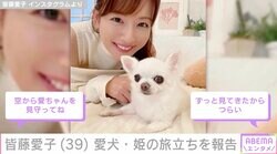 皆藤愛子「姫が亡くなりました」長年連れ添った愛犬の旅立ちを報告