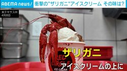 ザリガニを丸ごとトッピング!?衝撃の“ザリガニ”アイスクリーム 「頭をスプーンみたいにして」実際に食べる様子も 米