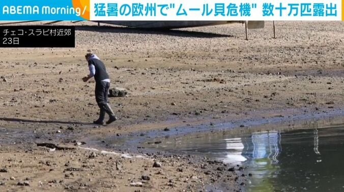 チェコ