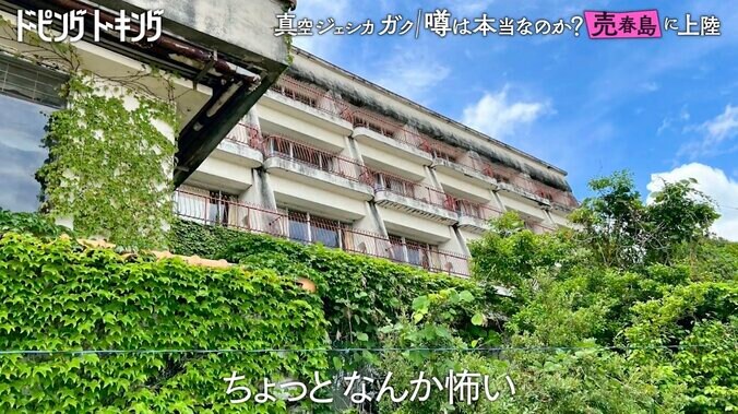 【写真・画像】　2枚目