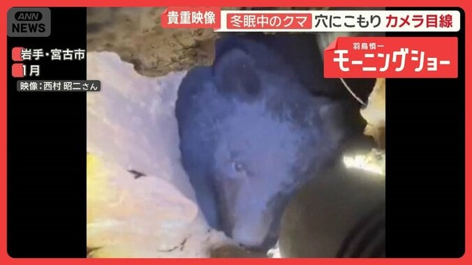 人里に依存「ニュータイプ」クマ　住宅に侵入…床下冬眠も？　長引く警戒 1枚目