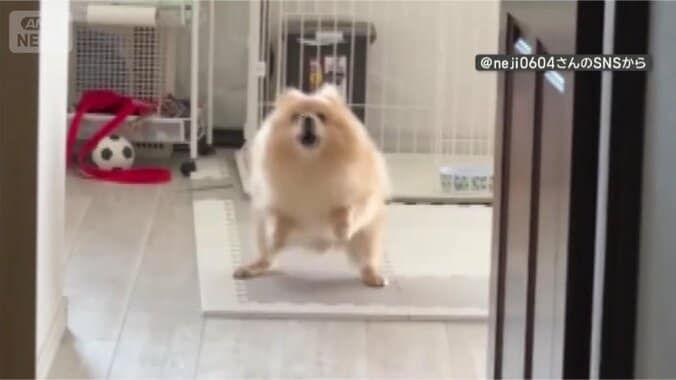 全身からあふれる気持ち