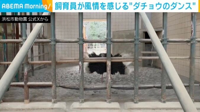 ブラッキーくん