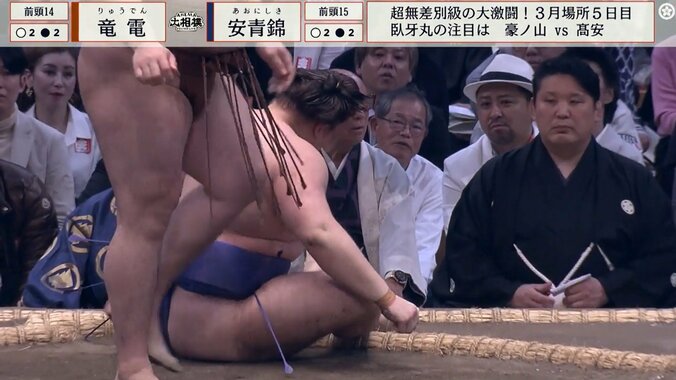 3敗目を喫した前頭十五枚目・安青錦（安治川）