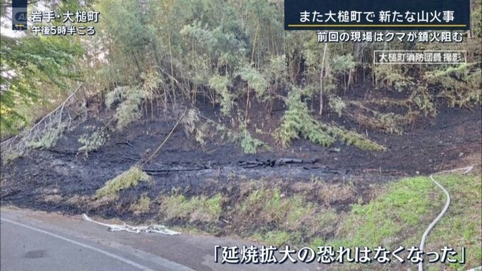 6日の山火事