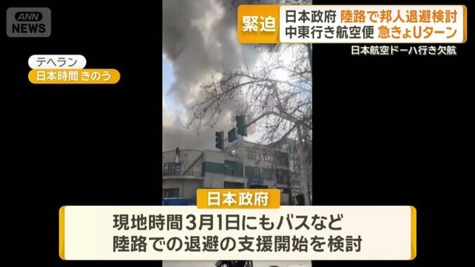 日本政府の対応