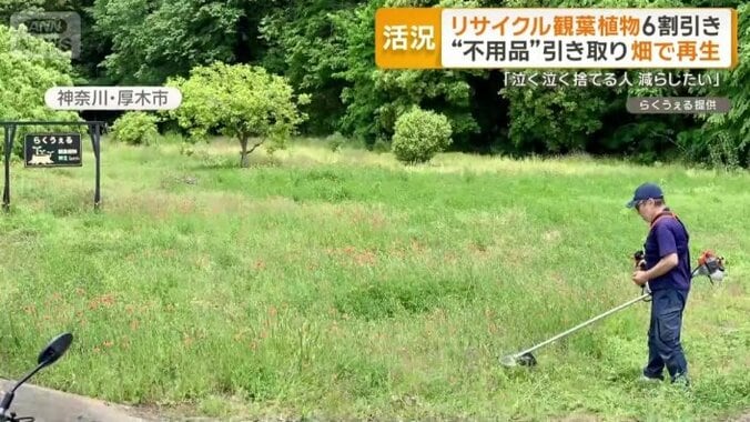 新しい取り組み「再生ファーム」