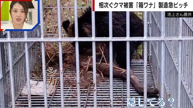 クマが檻の中でとった“意外な行動”（他の動物に見られないようにエサを隠す）
