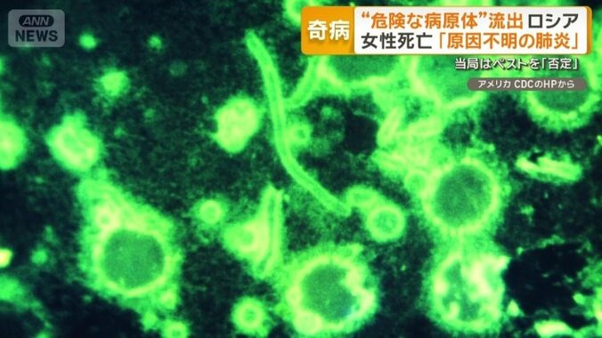 「肺ペスト」に感染の可能性を報じる