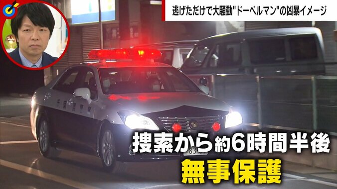 人を噛んで“殺処分”寸前のドーベルマンを保護 「問題は犬種ではなく飼い主の育て方」更生に挑んだトレーナー男性が訴え 2枚目