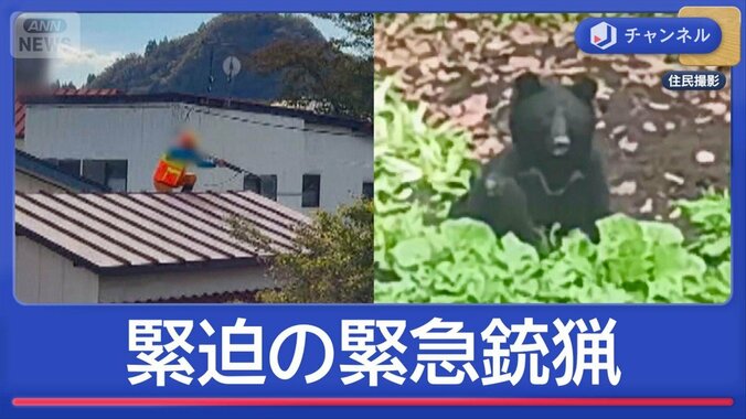 住宅に親子グマ“緊急銃猟の瞬間”　ライフル銃でクマ駆除へ講習始まる 1枚目