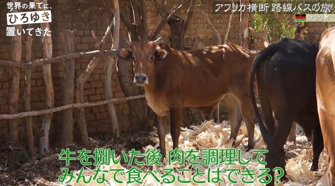 東出昌大、アフリカで生きた牛をさばく 逃げまどう姿に葛藤も「うまい！」命の恵みに感動 3枚目