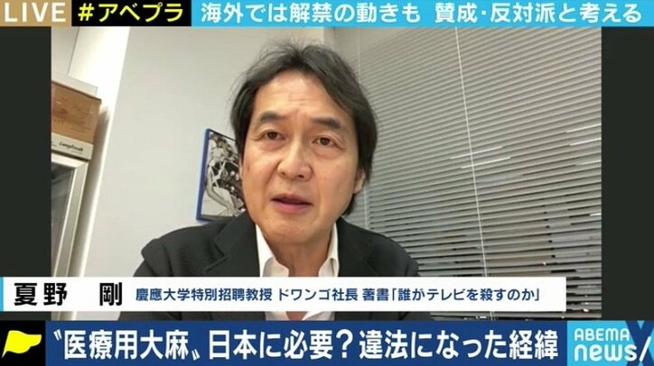 所持での検挙数が過去最多…日本でも「医療用大麻」を認めるべきなのか?賛成派・反対派の意見は