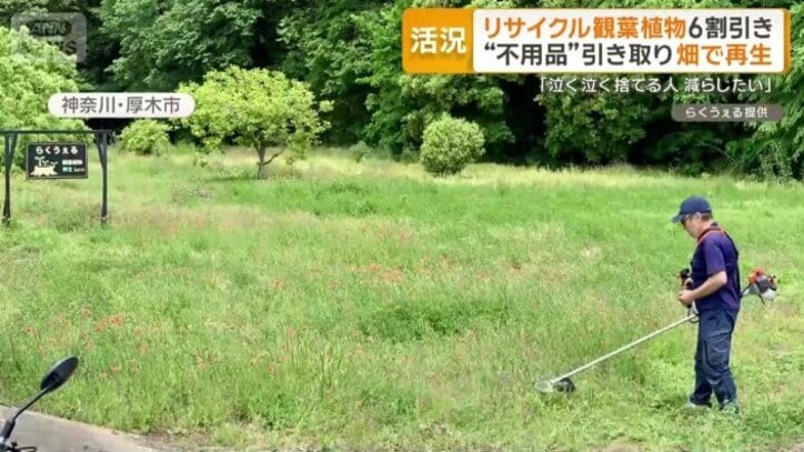 新しい取り組み「再生ファーム」