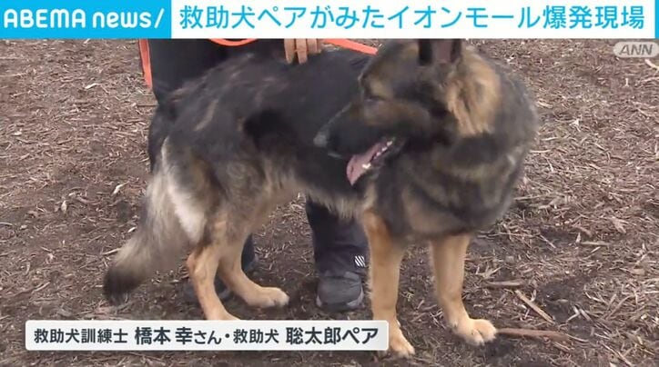 橋本さんと聡太郎ペア