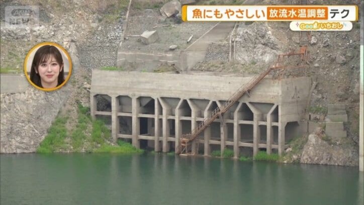 「昔のコンクリート工場だったらしい」