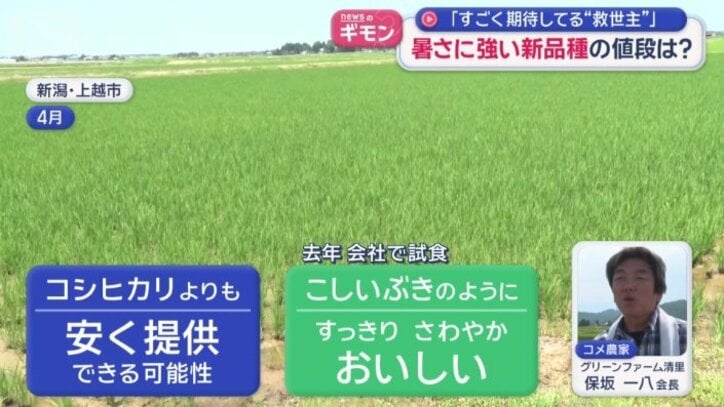 「コシヒカリ」より安い？
