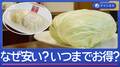 1玉1000円超から100円台に…キャベツなぜ安い?お買い得いつまで?