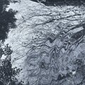 HAIIRO DE ROSSIを客演に招いたKUVIZMの新曲"Park of memolies"が10月16日にリリース！