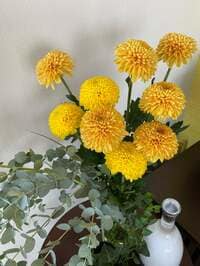 戸田恵子『おはつにおめにかかりました。』