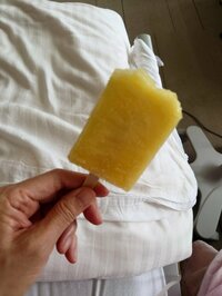 秋野暢子『やってきました、食欲不振』