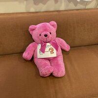 桜井奈々『乳がん検診』