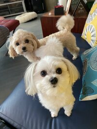 秋野暢子『【中編】病を公表した理由はね』