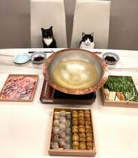 藤あや子『昨日の晩ごはん』