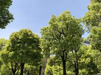 エド・はるみ『健康診断でドキドキした事』