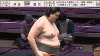 【映像】引くほど強い若手力士の勝ちっぷり
