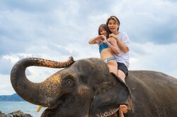 水着で象に乗ってイチャイチャ 美男美女のバックハグ2ショットに「距離感近っ！」と衝撃