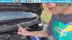 「息ぴったり！」車の解説中、トンボが指先に止まる“珍しい光景”に「アクセルよりレスポンスいい」「ナイスタイミング！」と大反響