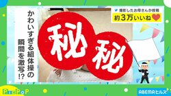 5カ月の赤ちゃんと1歳の犬のコラボ！ “かわいすぎる組体操”をしている姿に「なにこの癒し」「この瞬間撮れたのすごい」と絶賛の声