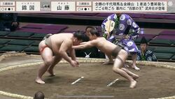 「腕折れそう」だけど…“一般人の体型”超細身力士、体重2倍以上の巨漢を豪快投げ 館内どよめき「あれで勝つんか」