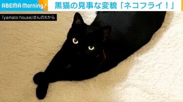 焦げすぎたエビフライ！？」黒猫の“見事な変貌”に「新メニューの匂わせ
