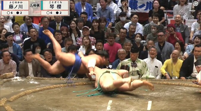 藤ノ川が琴櫻を“ぶん投げた”らスゴイ展開に 著名人2人が揃って「お口あんぐり」 カメラが捉えた面白リアクション「シンクロしてるw」 4枚目