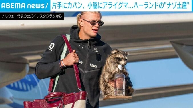 ハーランド