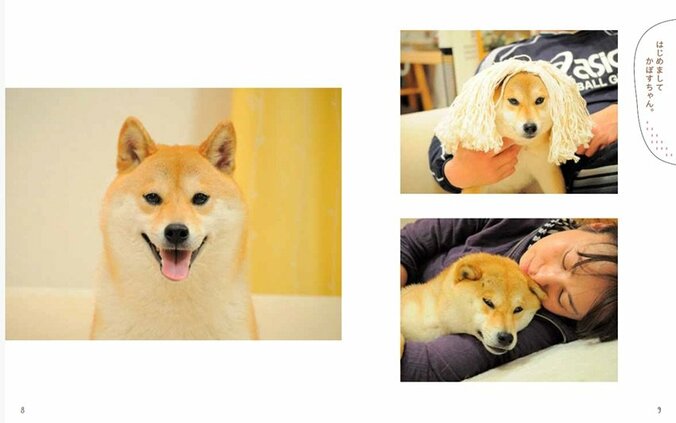 ネットミーム“Doge”のモデル柴犬「かぼすちゃん」 生涯を振り返る写真集が3月14日発売へ 4枚目