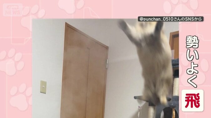 勢いよく空中に飛び出す