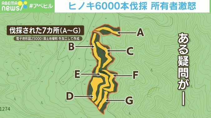 「頭にきている」「何のためにしたのか」間伐のはずが… 勝手にヒノキ6000本伐採 所有者激怒 4枚目