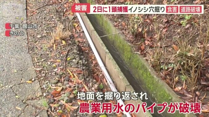 農業用水のパイプが破壊