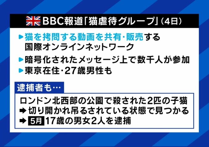 BBCの報道内容