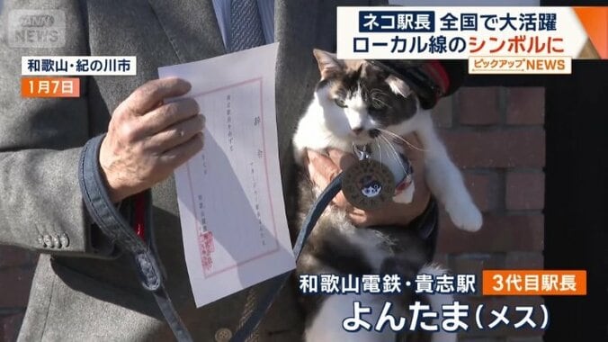 「よんたま」が就任