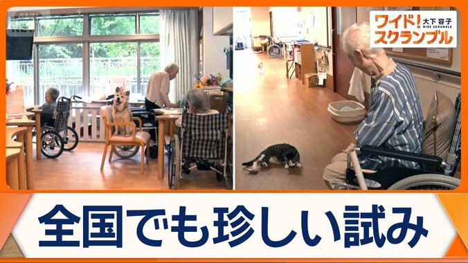 施設内にイヌやネコが…ペットと入所できる高齢者施設　多くで“禁止”も導入の理由は 1枚目