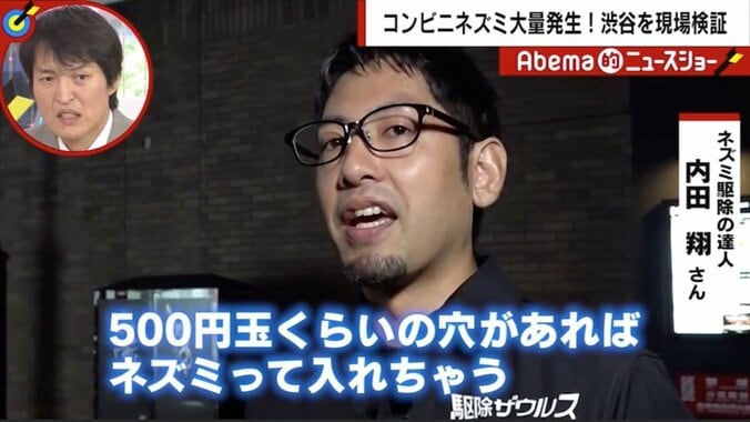 「どの商品棚にも…」コンビニにネズミが大量発生　映像撮影者「ずっと前から動物園のような臭いが…」 2枚目