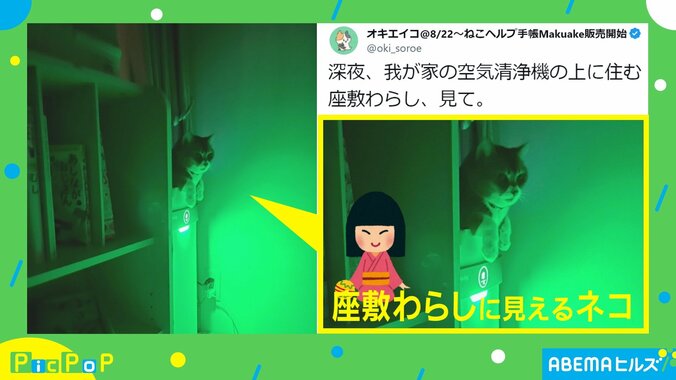 「夜中に座敷わらし出現！？」意外な正体に「こわかわいいww」「確かに福を呼んでいる」と反響 2枚目