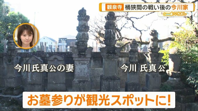 都内で出会う“京都”と戦国ロマン　今川家ゆかりの庭園寺・観泉寺 1枚目