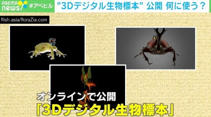 3Dの“デジタル生物標本”を無償で公開 生粋の現場主義者が「オープンサイエンス」を推進する目的 2枚目