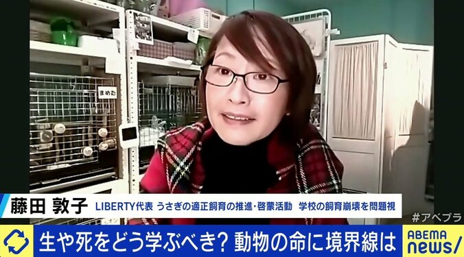 「“犬や猫より安いから”と安易に」卯年に過剰ブーム？ うさぎの学校飼育廃止を求める署名も 4枚目