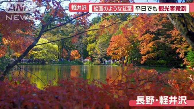 “自然の宝庫”長野県の軽井沢